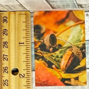 🌀10/$10🌀 Autumn Reusable Washi Sticker Decal